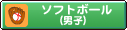�\�t�g�{�[���j�q
