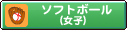 �\�t�g�{�[�����q