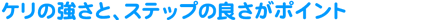 �P���̋����ƁA�X�e�b�v�̗ǂ����|�C���g