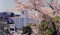 神戸常盤女子高等学校