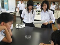 yoki_kou_image01