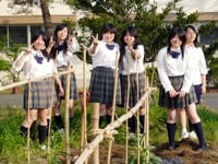 yoki_kou_image01